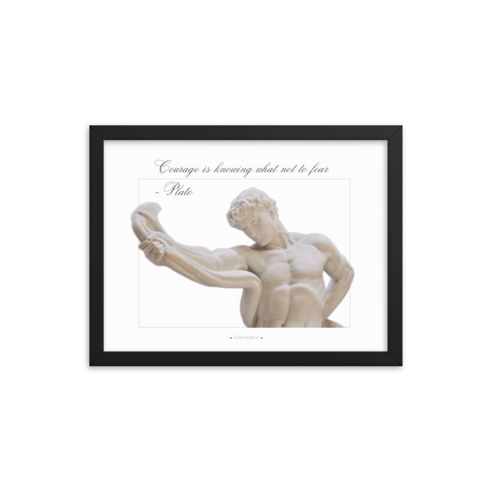 About Courage Premium Framed Poster