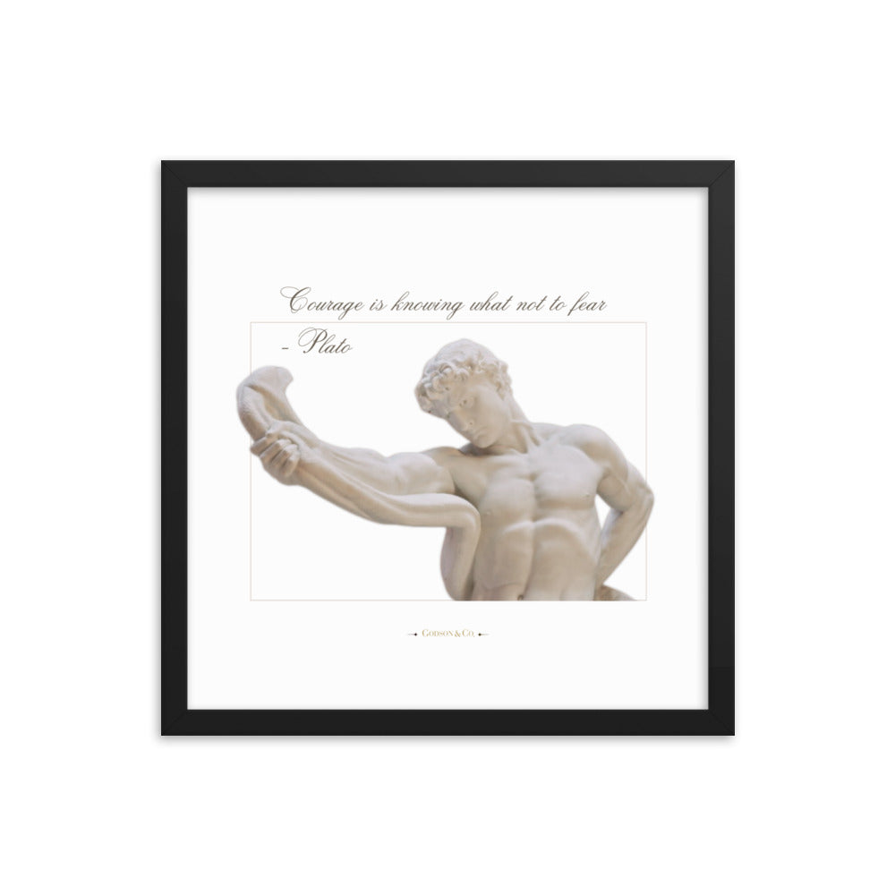 About Courage Premium Framed Poster