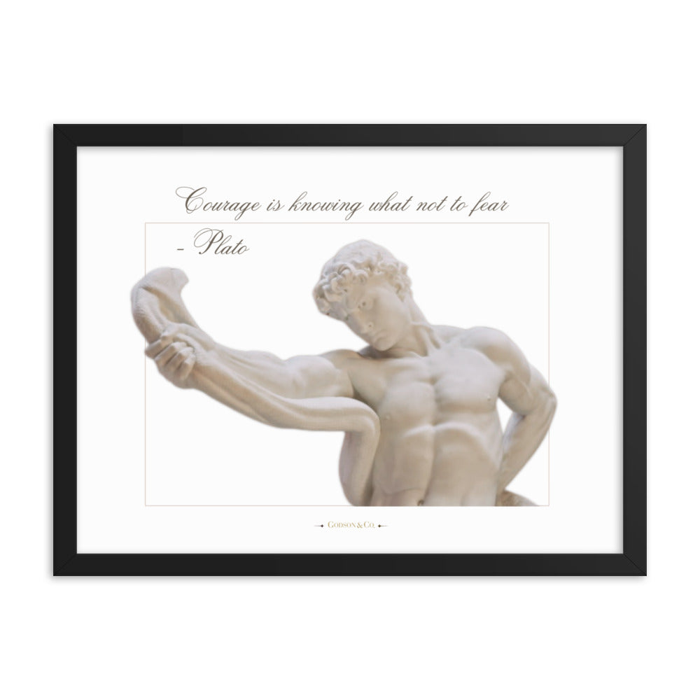 About Courage Premium Framed Poster