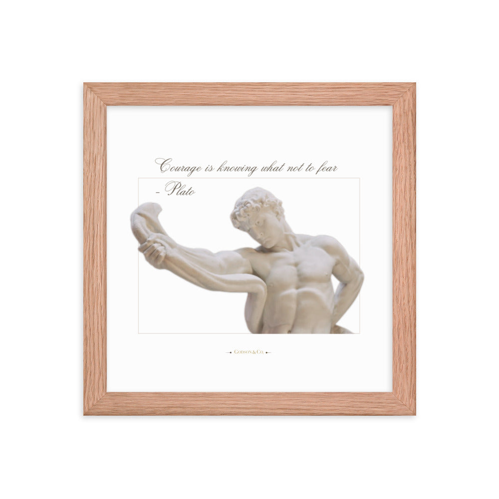 About Courage Premium Framed Poster