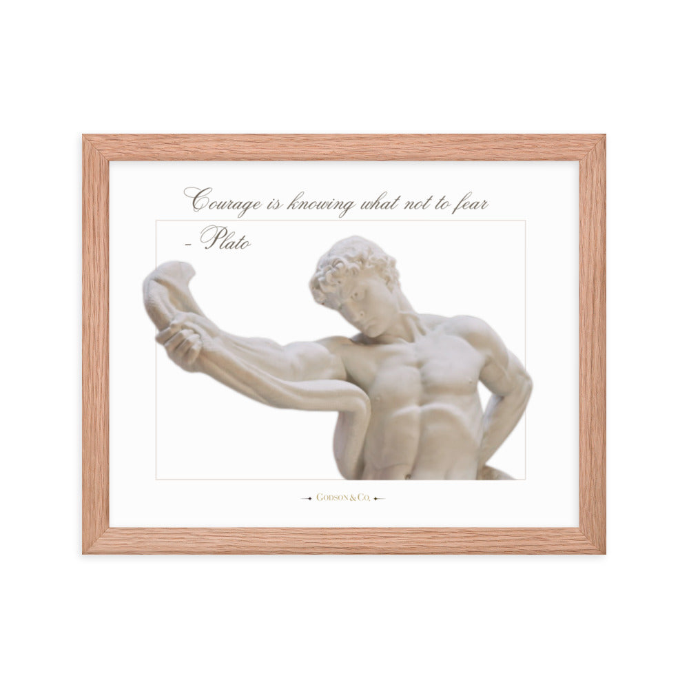 About Courage Premium Framed Poster