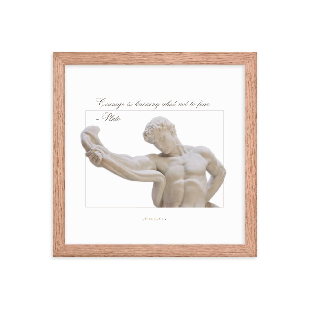 About Courage Premium Framed Poster