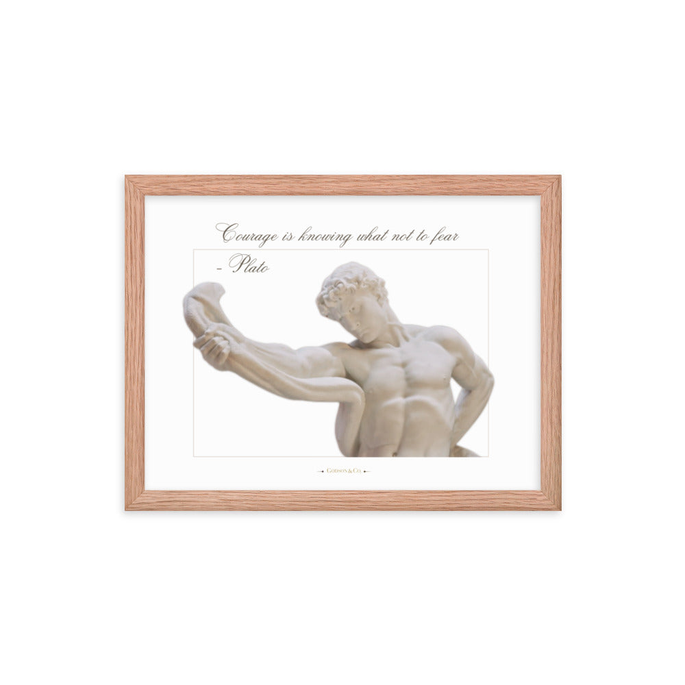 About Courage Premium Framed Poster