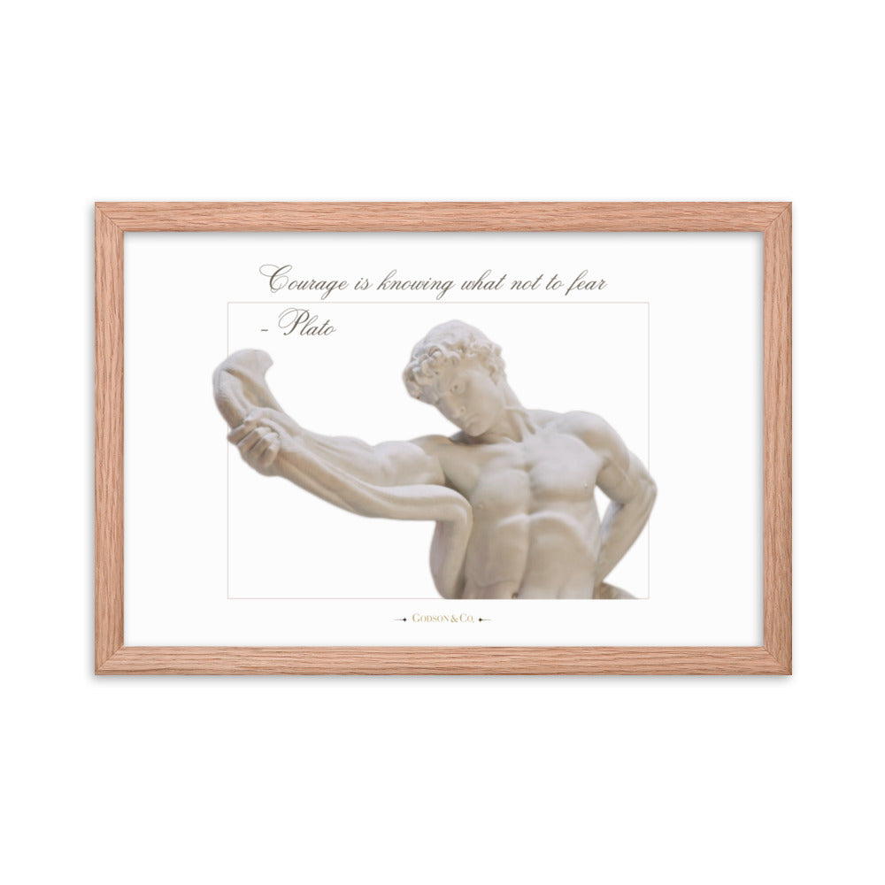 About Courage Premium Framed Poster