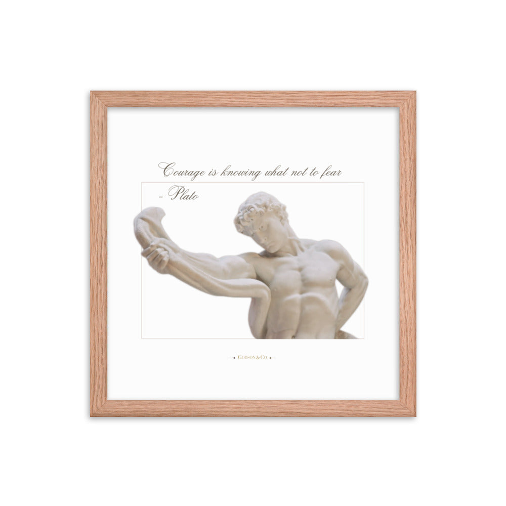 About Courage Premium Framed Poster