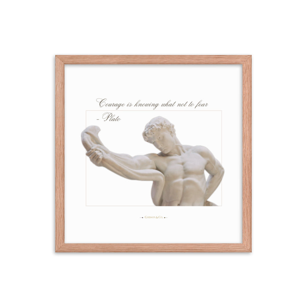 About Courage Premium Framed Poster