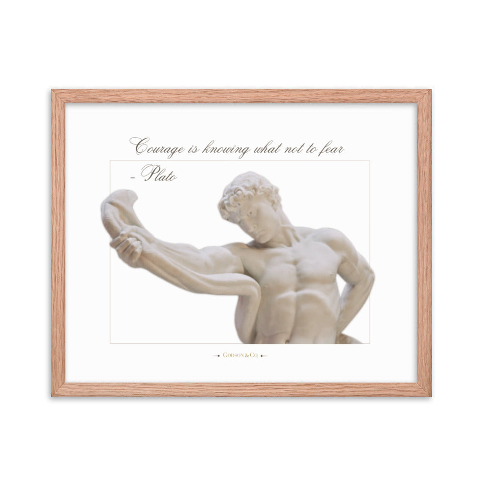 About Courage Premium Framed Poster