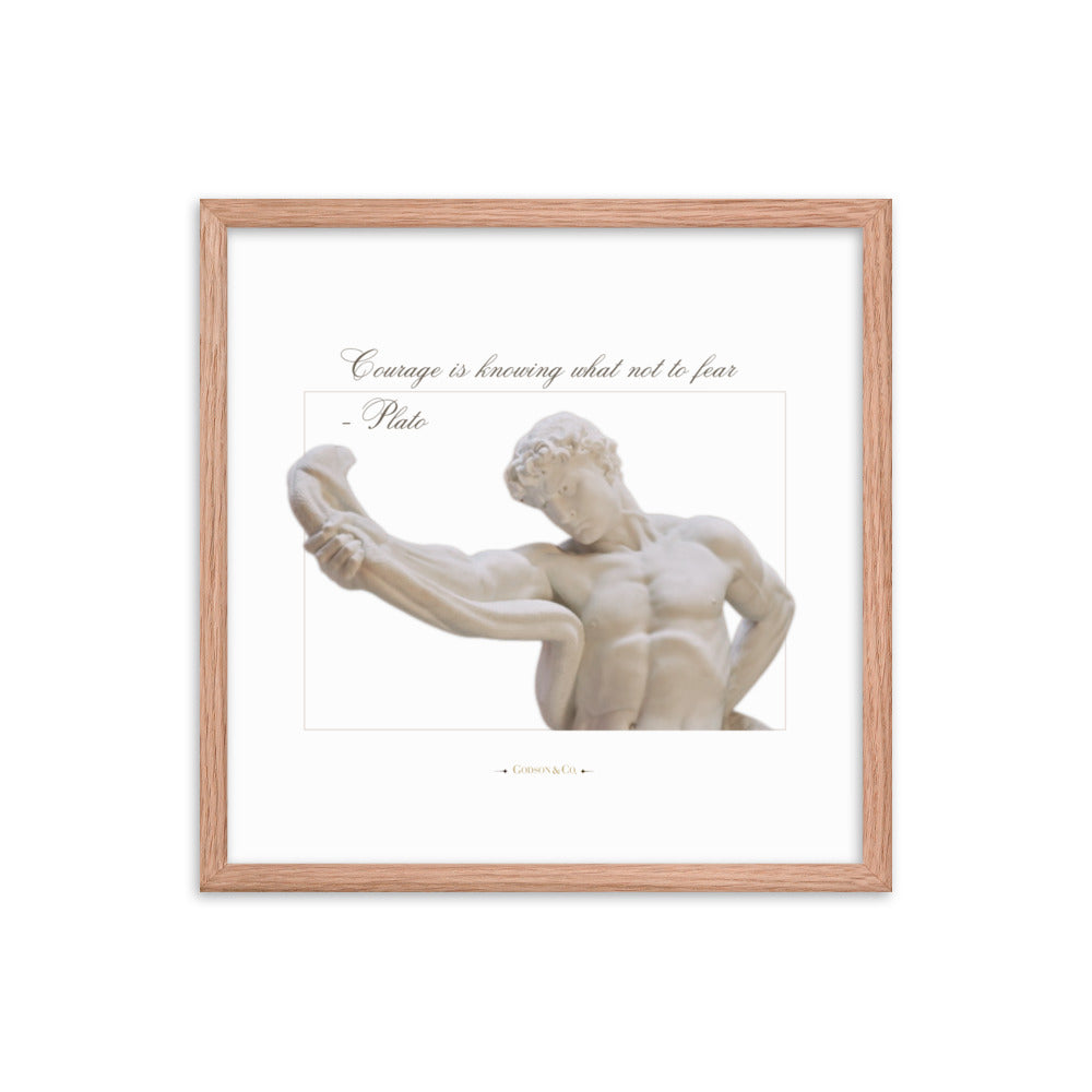 About Courage Premium Framed Poster
