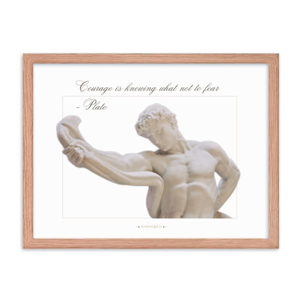 About Courage Premium Framed Poster