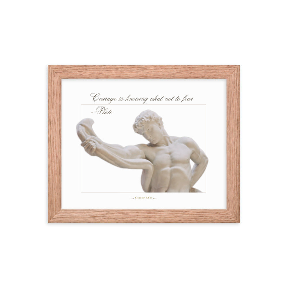 About Courage Premium Framed Poster