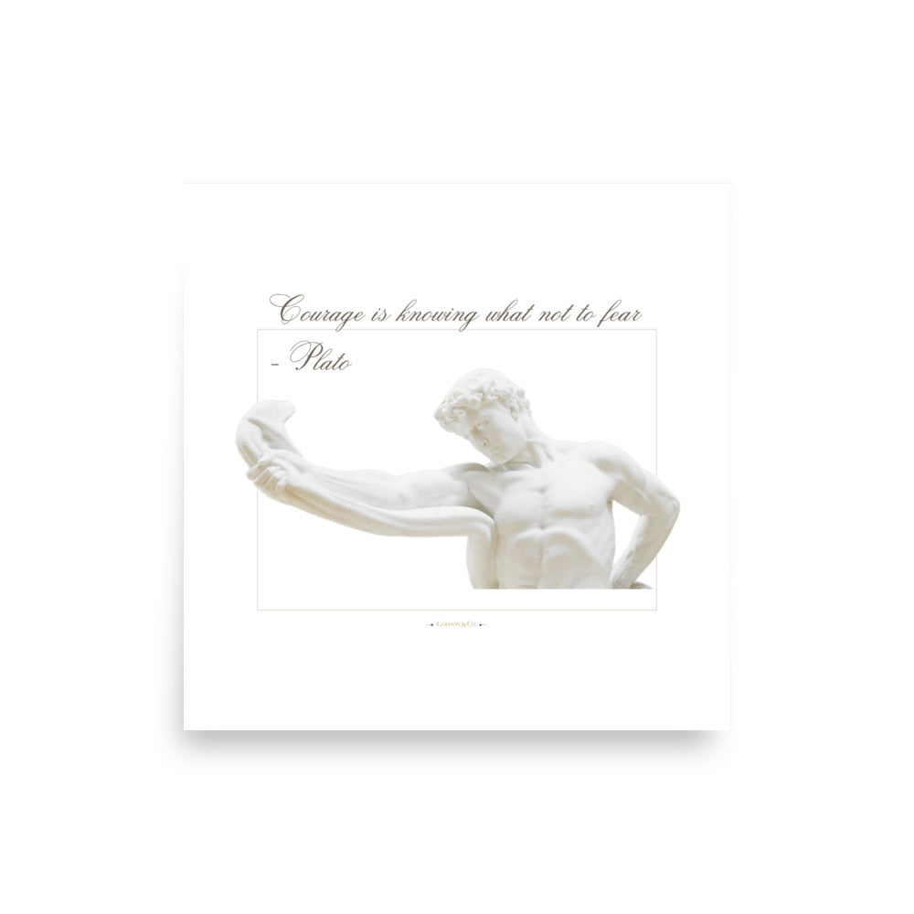 About Courage Premium Matte Poster