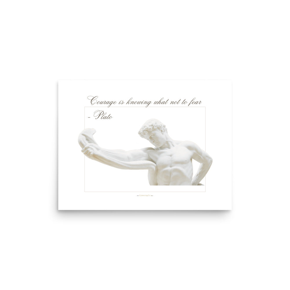 About Courage Premium Matte Poster