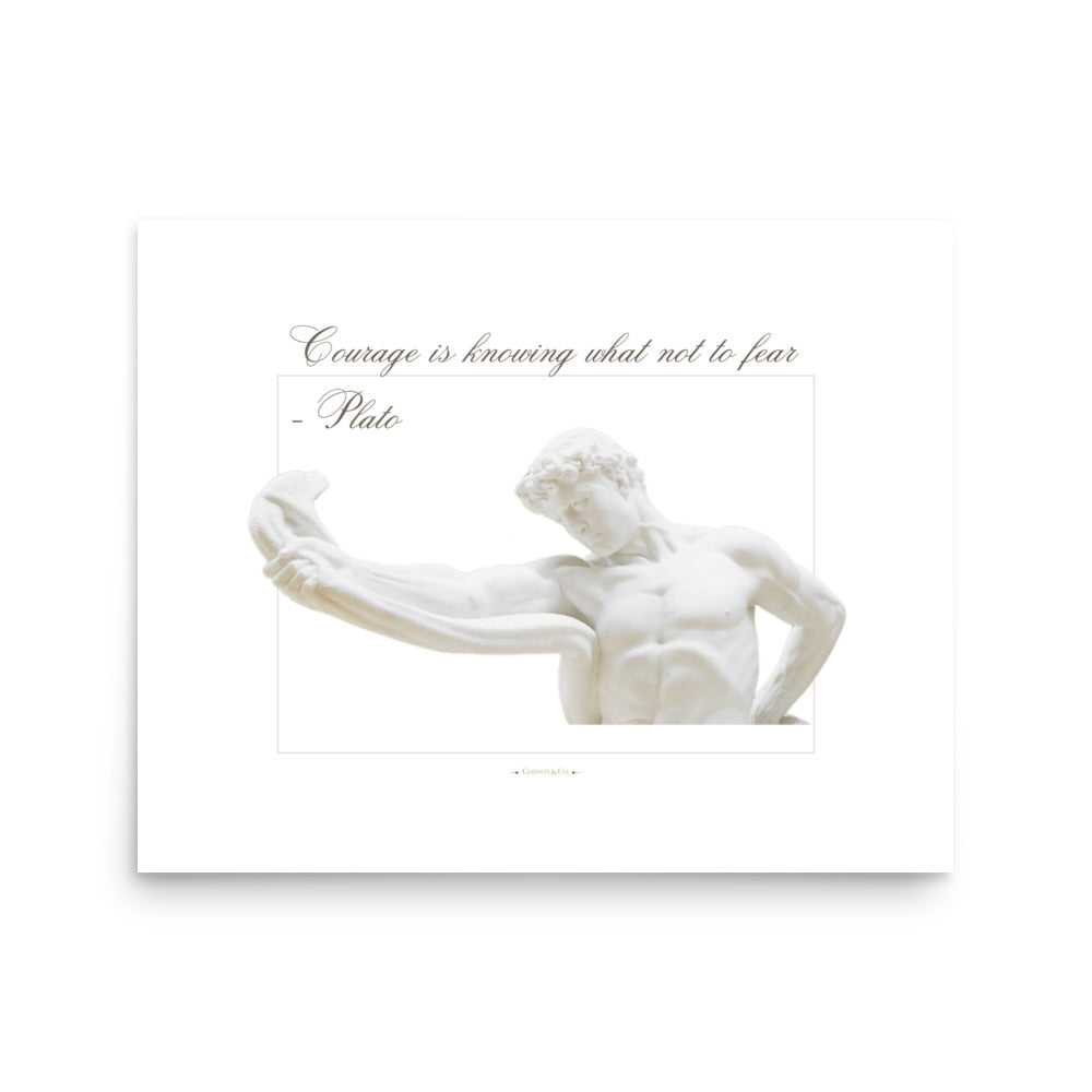About Courage Premium Matte Poster