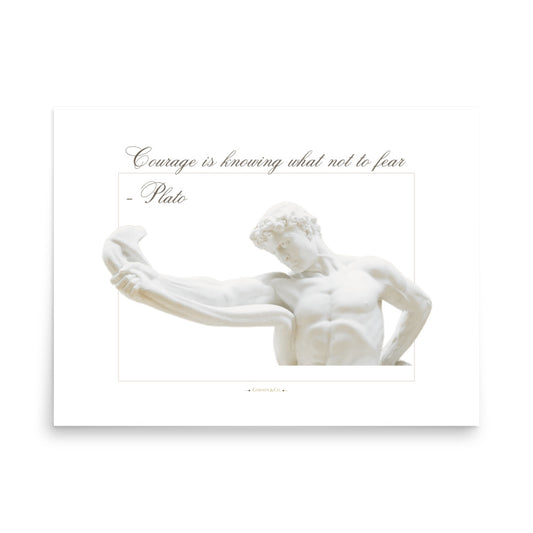 About Courage Premium Matte Poster