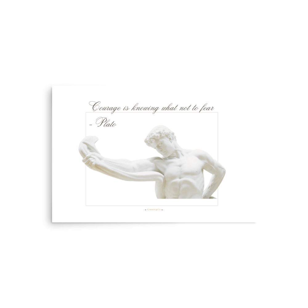 About Courage Premium Matte Poster