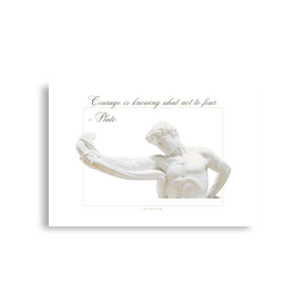 About Courage Premium Matte Poster